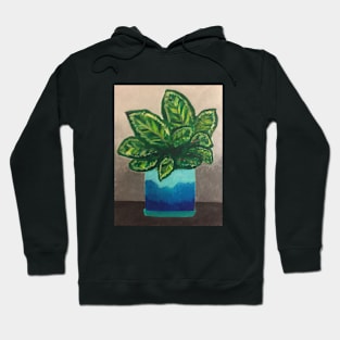 Calathea Plant Hoodie